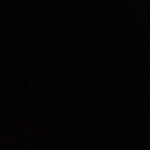 Meet your Posher, Audrey